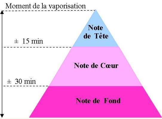 ob_dcb02a_image-pyramide-notes-de-parfum